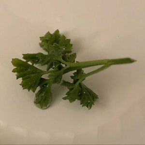 Meet your Posher, Edna